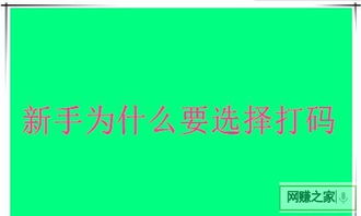 打码赚钱平台提现的金额要什么时候到账