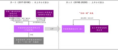 2022年国网能完成全国有线电视网络整合吗