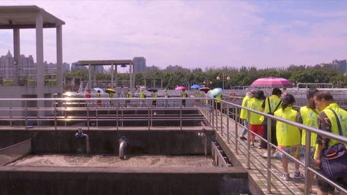 市民生态探访 水越来越干净 景越来越美丽