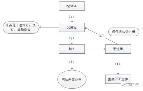 linux 关闭redis 命令 干货 你的Redis怎么持久化的