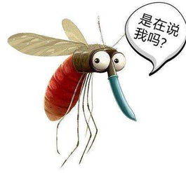 注意 蚊子成人类顶级掠食者