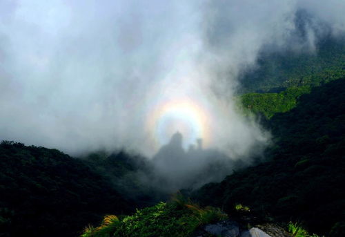梵净山的罕见美景,90 的游客都没见过 