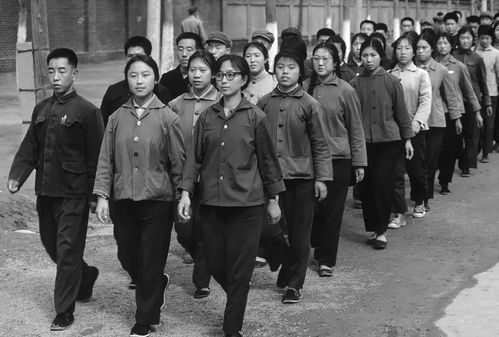 1963年,女会计携1.6万元神秘消失,发现时在水泥中 睡了 21年