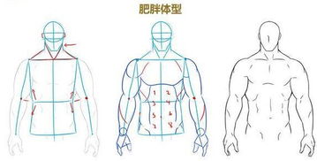 推荐 男性肌肉绘画技巧 非常全面的漫画动漫男性身材绘画技巧