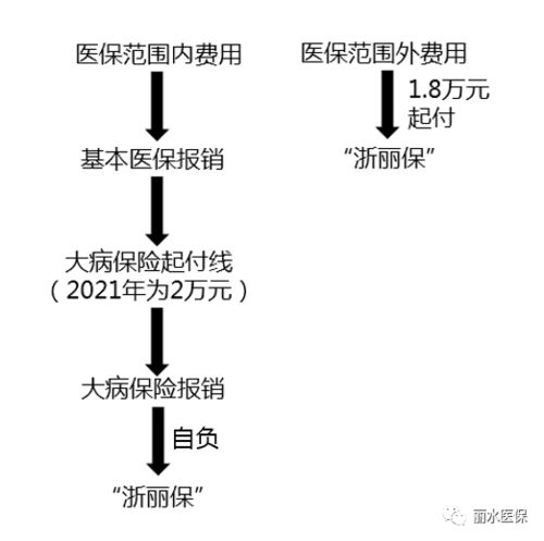 丽水市大病医疗保险细则,浙丽保是什么保险