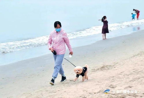 三亚湾滨海公园禁止带烈性犬 大型犬进入