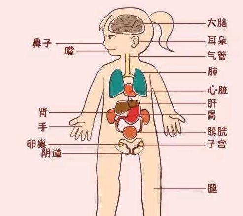 这份性教育时间表,值得家长花2分钟看看,摆脱难以启齿困扰