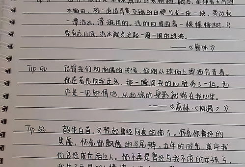 比 奶酪字体 更流行的 鲸落字体 ,风格独特,老师舍不得扣分