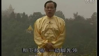 张志俊太极拳