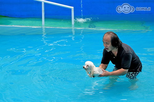 GOOD DOG妙狗 宠物游泳池
