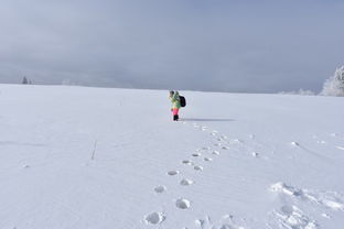 说走就走的旅行 哈尔滨 雪乡自由行 全程自驾哦