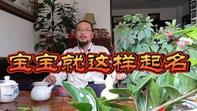 2121年出生的宝宝孩子起名字应该注意取名不要用午马取个什么名字