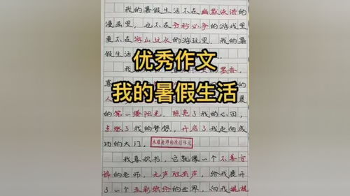 假日生活作文(我的假期生活作文450字左右)