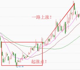 这下谁说说股市的底部在哪里