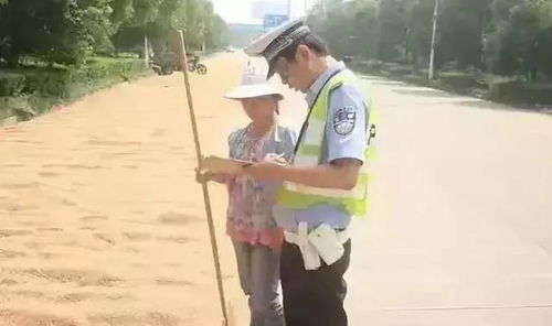 盐山人,麦收防火,刻不容缓