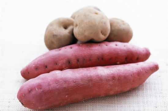 红薯是块根还是块茎,红薯，土豆，马铃薯哪个是根哪个是茎呢