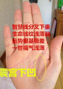 玄真探运 最命薄 的女人手相,晚年必定无依无靠,一辈子劳碌命