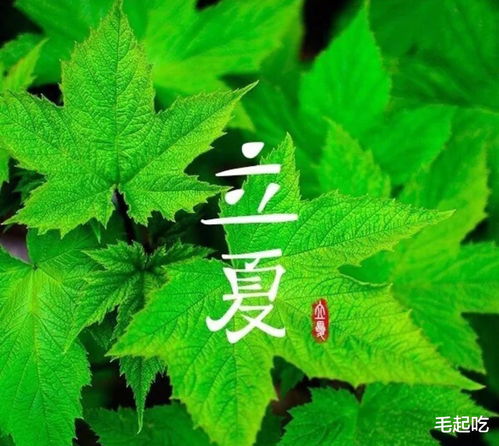 每年立夏时间