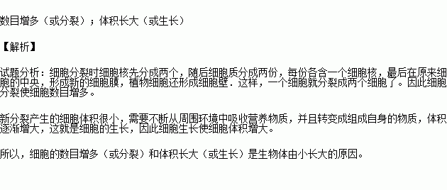 生物体能够由小长大的原因是 和 . 题目和参考答案 青夏教育精英家教网 