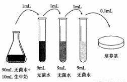 2015.郑州二模 牛奶是微生物生长的良好培养基 生鲜牛奶中的微生物情况反映了奶牛的健康状况,也影响奶制品的运输和贮藏 牛奶在饮用前都要经过巴氏消毒,以杀死有害微生物 