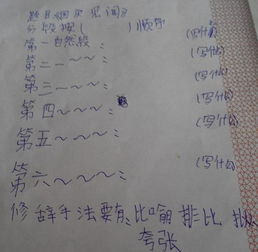 国庆见闻作文字