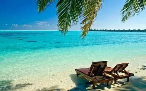 马尔代夫旅游沙滩酒店怎么订