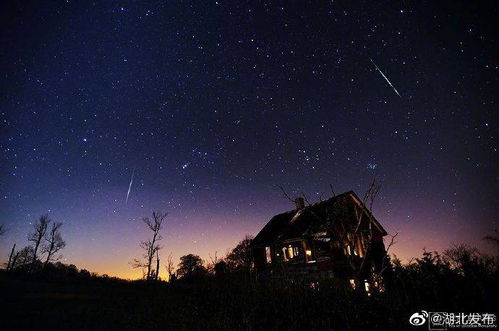 狮子座流星雨17日19时迎来极大