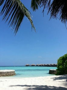 马尔代夫贾尼岛游记一次浪漫的海岛之旅（马尔代夫尼卡岛）