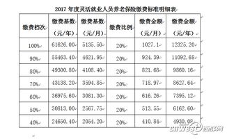 支付宝如何办理灵活就业养老保险网上申请灵活就业社保的流程