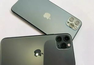 大学生买iPhone11出租50元 天 因为部分学生爱显摆