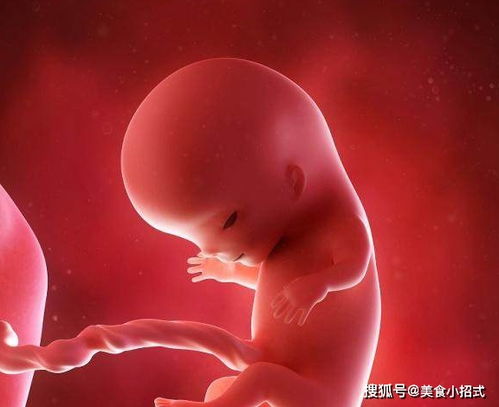 怀孕几个月,能看出胎儿是男是女 其实这时候不早不晚,时间刚好