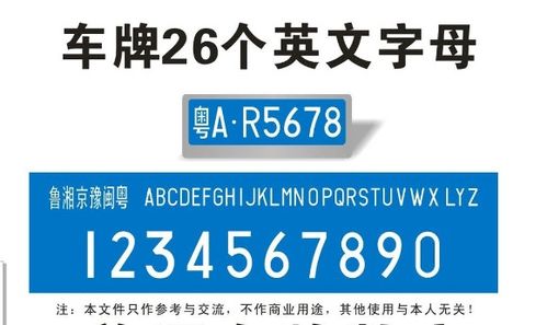 怎么通过车牌号查车辆信息 