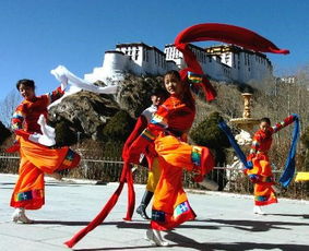 藏历新年传统习俗大合集