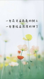 八个句子,一切都会开花结果