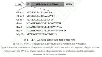 信号肽预测之Signal