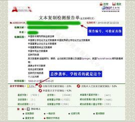 山东大学毕业论文查重