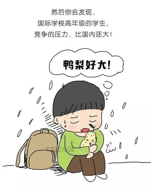 上什么样的小学,才是最好的 