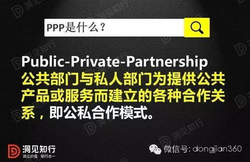 ppp项目是什么意思？