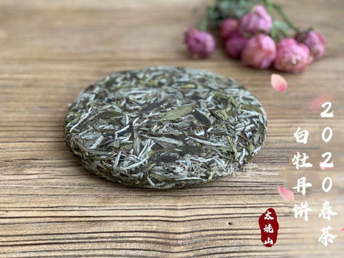 听说寿眉要喝饼茶,白毫银针 白牡丹喝散茶,好白茶不压饼