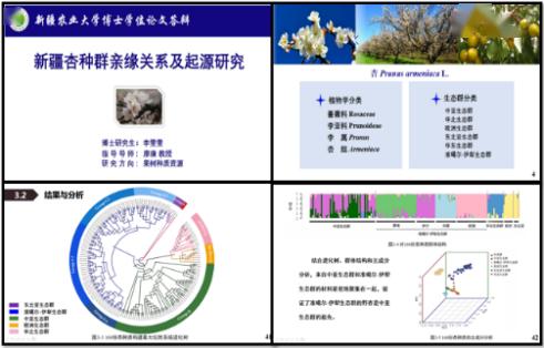 电大园艺学毕业论文