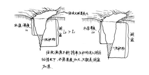 图解真题 2018年 全国卷③图解版