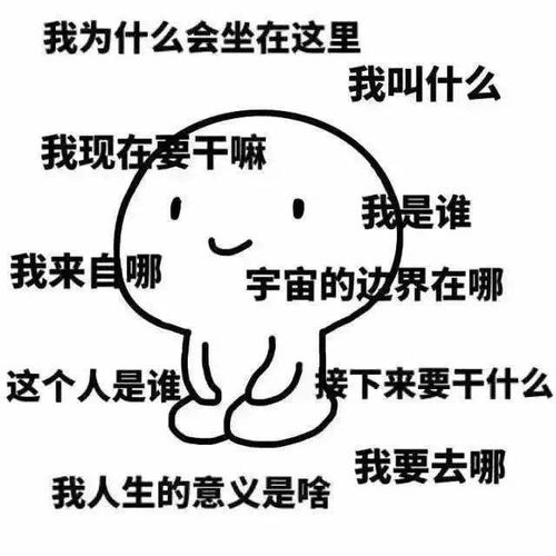 秃头叔冷知识</title>
<meta name=