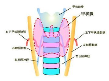 急性炎症 搜狗百科 