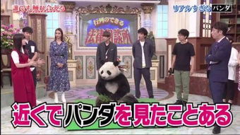日本节目迷惑人 难道动物园里的熊猫都是人扮演的