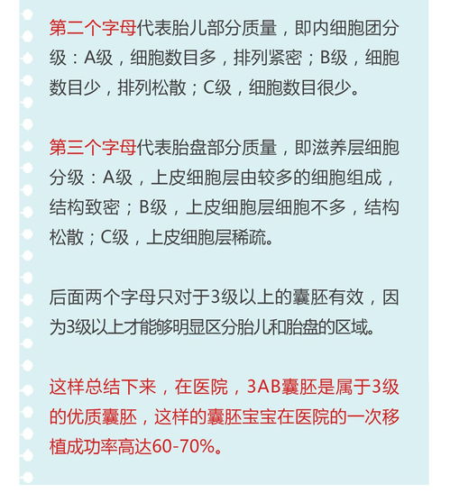 我的囊胚宝宝是最优秀的吗 移植的成功率有几分 