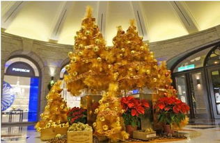 在新加坡十二星座如何搭配自己的专属圣诞树 