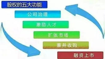 公司怎样才能进股