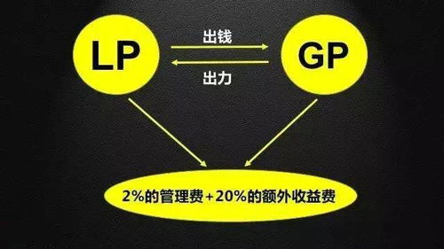 gp与lp有什么区别呢？