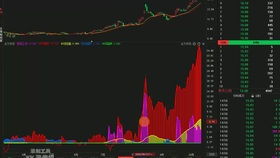 炒股能赚钱不 、多少资金能获得大收益？