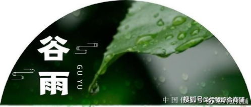 今天是二十四节气的 谷雨 ,谷雨是春季的最后一个节气,一个浪漫的节气